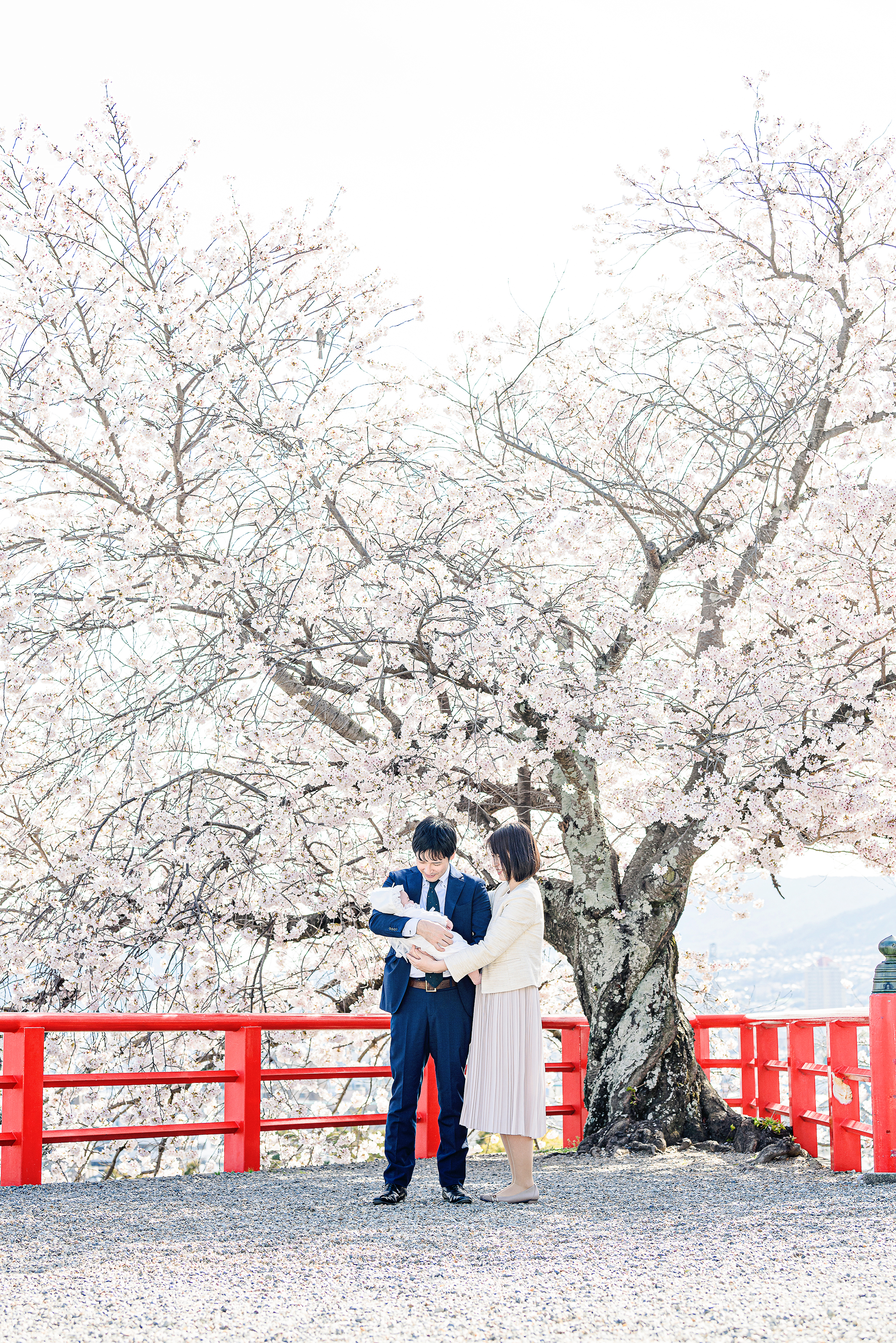 見事な桜と家族の出張撮影
