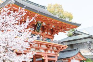 出張撮影・お外スタジオ・結婚式前撮り・アルバムデザイン制作を西宮・神戸・大阪・芦屋・宝塚中心に行っているLighthouse Photoの撮影レポート「」のイメージ写真001