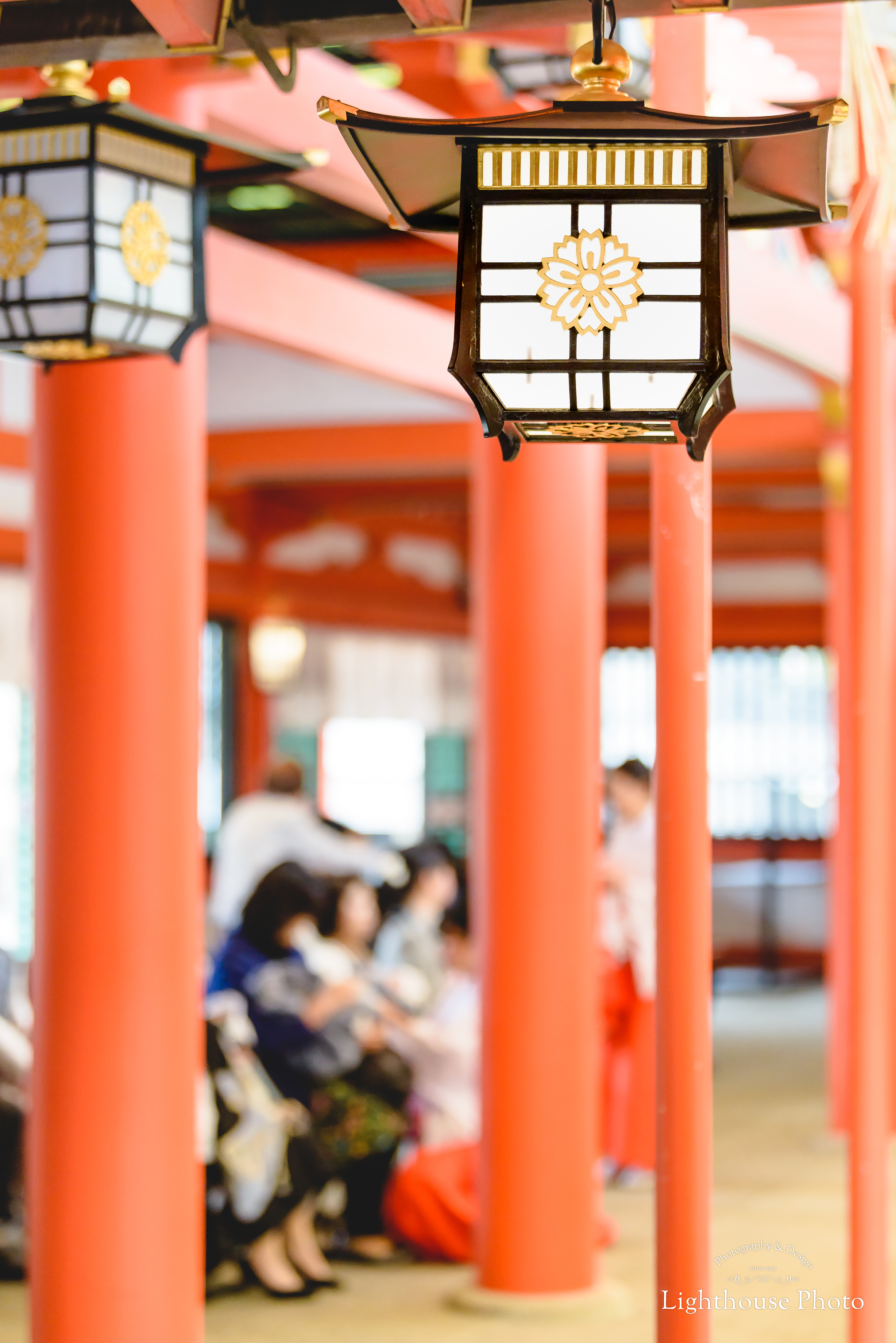 小雨の生田神社で、表情豊かなお宮参り。＠生田神社-1